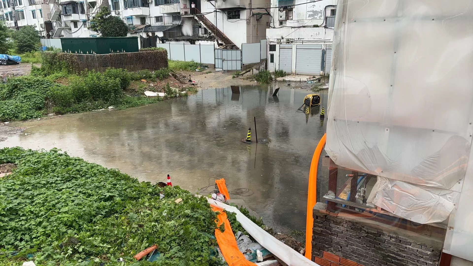 d0e679dfa1ac97402404ecf789f03969.jpg d0e679dfa1ac97402404ecf789f03969.jpg